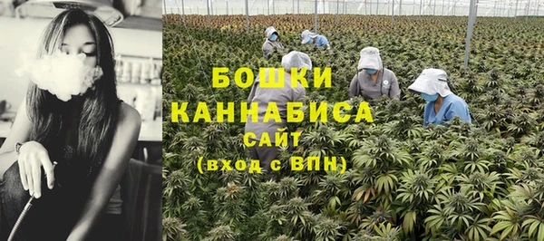 амф Белокуриха