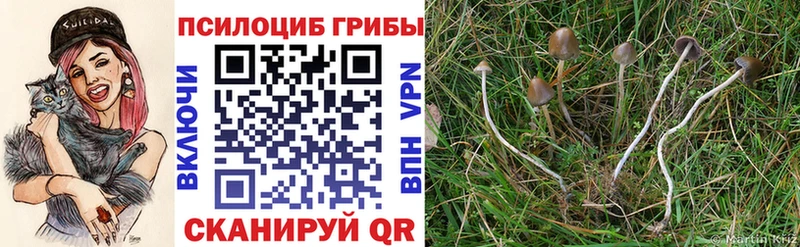 Галлюциногенные грибы ЛСД  что такое наркотик  Печора 